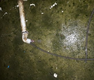 Bir fare ölüsü  daha
