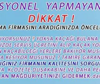 Profesyenel ekib