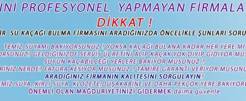 Profesyenel ekib